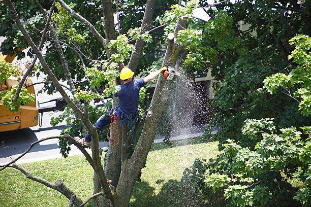 Landscape Design and Installation in Canaan, CT